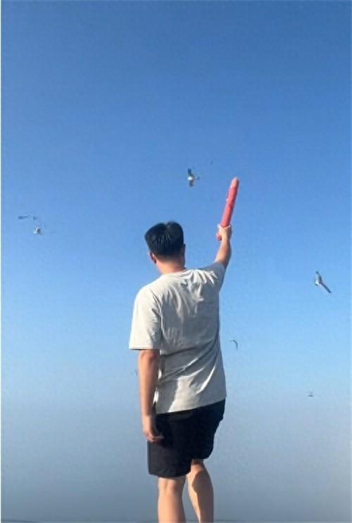山西小伙自驾来连喂海鸥 全程举火腿肠！大连网友：替海鸥谢谢你