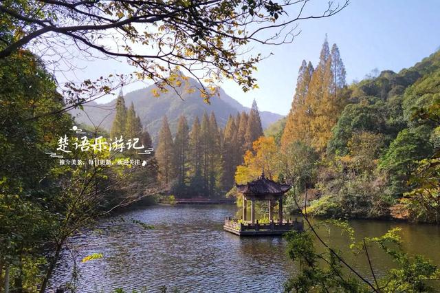 宁波这个丛林秘湖又火了，银杏与红枫美成油画，很适合拍照与休闲