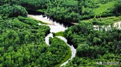 探秘漠河九曲十八弯：北国湿地的四季画卷