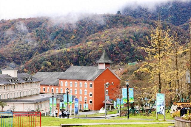 首个“官方秋假”谁是大赢家？四川这些景区赢麻了