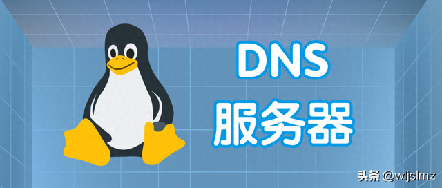如何在Linux上监控DNS服务器性能（如何在 Linux 中检查 DNS 服务器 IP 地址）