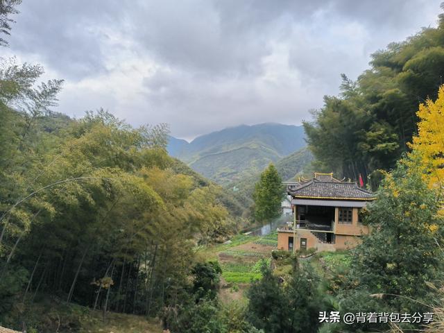 黟县著名景点，电影卧虎藏龙的拍摄地-木坑竹海