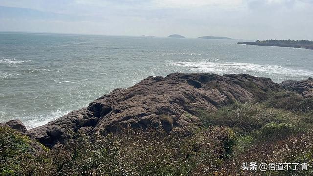 青岛，我来了