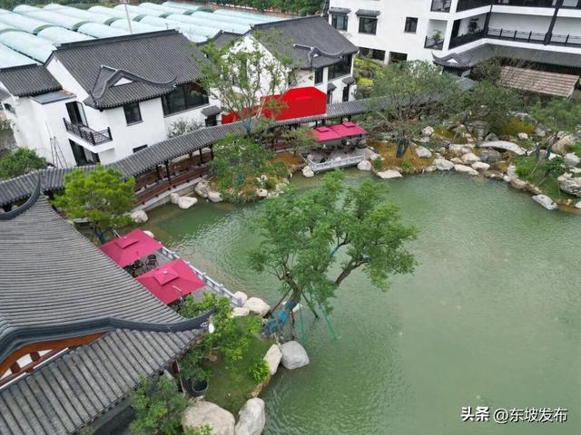 东坡又一个文旅新场景即将亮相→