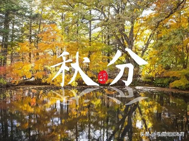 凌晨2点19分秋分！老话说“十个牛栏九个空”，今年冬天冷到哭？
