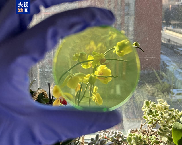 中科院团队研发新型闪烁屏 突破快中子成像分辨率瓶颈