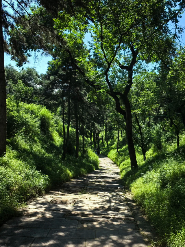 我是上海人	，在承德待了 5 天，忍不住说：承德给我的 4 点印象。