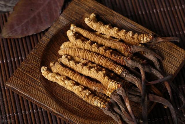 虫草一天吃几根合适（冬虫夏草怎么吃才不浪费一文解锁正确打开方式）
