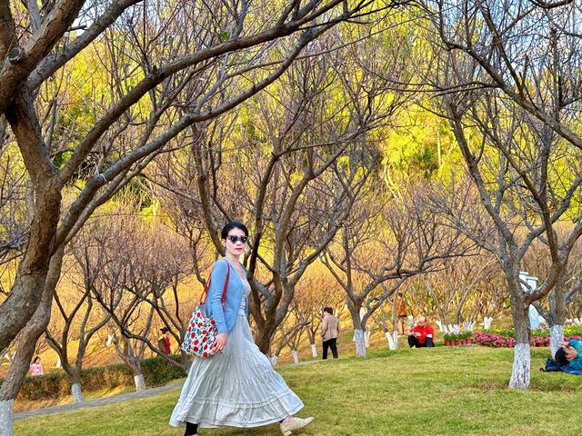 深圳赏梅天花板！🌸27000m²梅园地铁直达