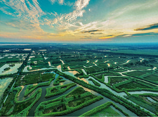 绿茵场外，研学正热！“宿超”点燃泗洪文旅新引擎
