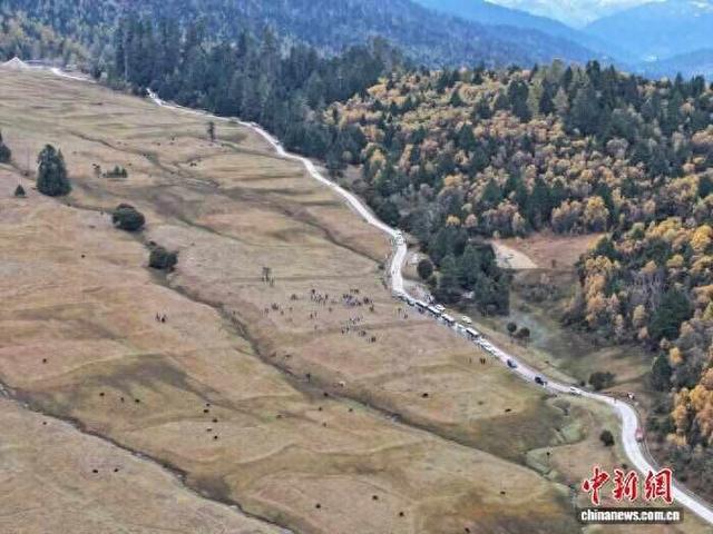 外国人士西藏林芝行 有很多“没想到”