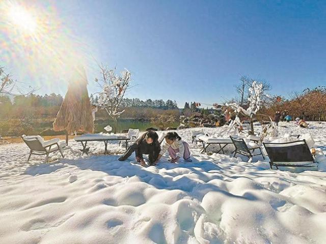 在邵武邂逅雪与樱