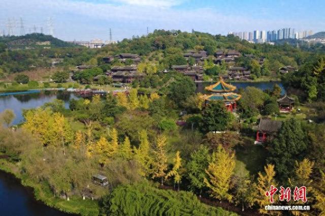 大自然的冬日画作 重庆园博园色彩斑斓美如画