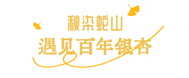 武昌赏秋天花板！这条被推荐100次的山路，迎来最美时刻