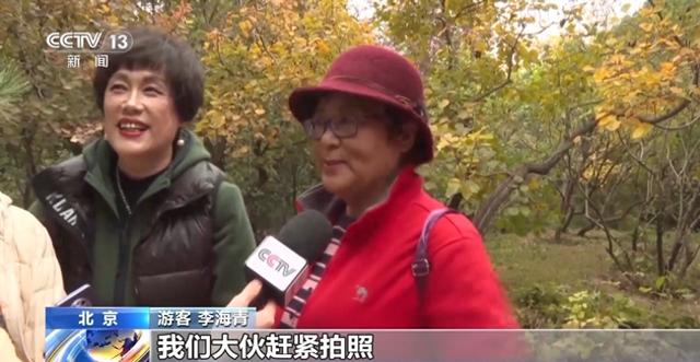 赏秋时节 “捡秋”有度才能留住秋日好时光