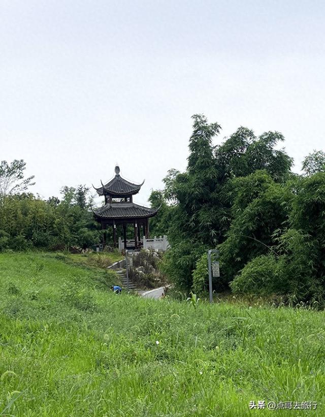 成都最近紫薇花公园，被严重低估，花开惊艳，地铁公交车直达！