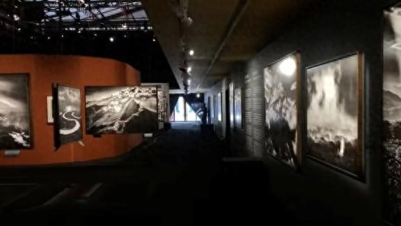 巴西新地标！到亚马逊博物馆来一场沉浸式体验