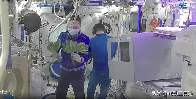 空间站菜园大丰收，生菜打包存储，升级种植设备后实现了吃菜自由