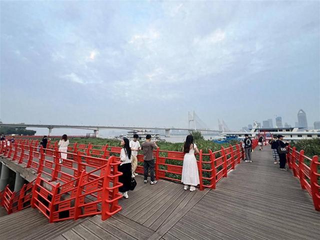 我的长江我的家丨游客盛赞汉口江滩：自然与城市完美融合