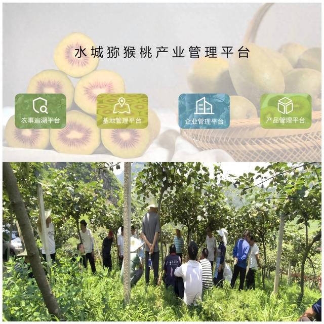 黔程新动能 | 贵州科学院物联网平台赋能百业 十年攻关破解数字化转型痛点