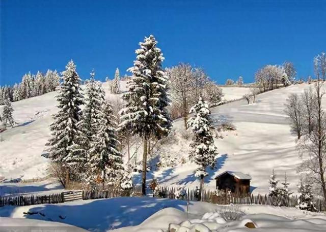 四季更迭，风光无限，跟着时节走，品初冬醉人的诗意