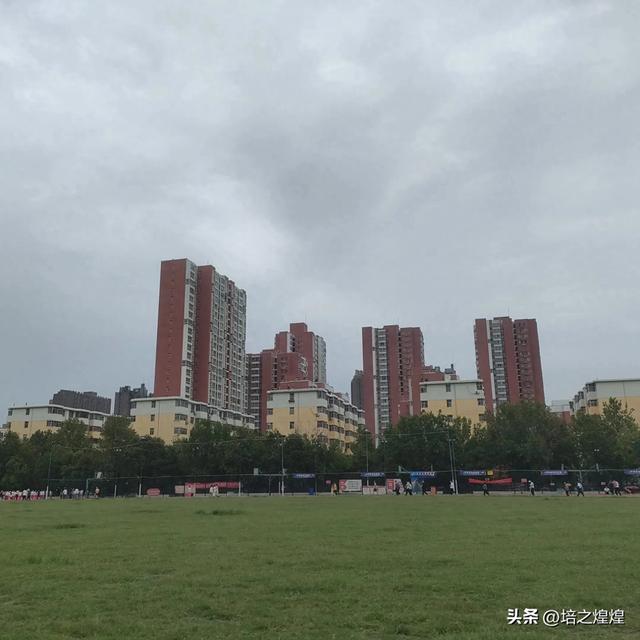 它点亮了我的生命