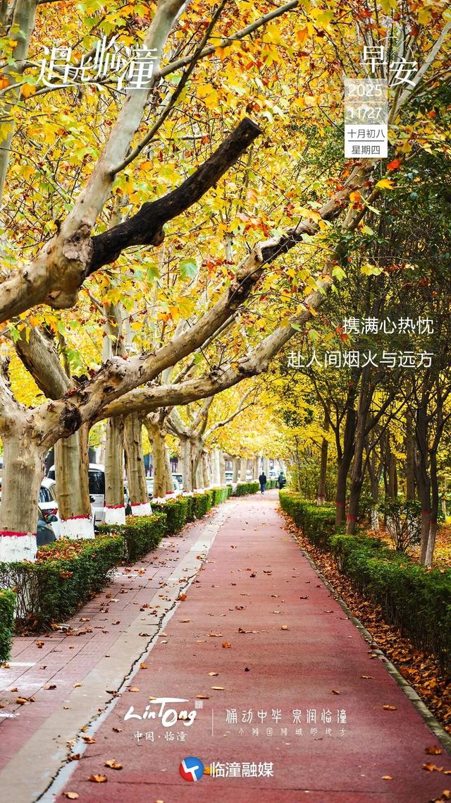 追光临潼 | 初冬的阳光漫过梧桐枝，日子温柔，万事顺意