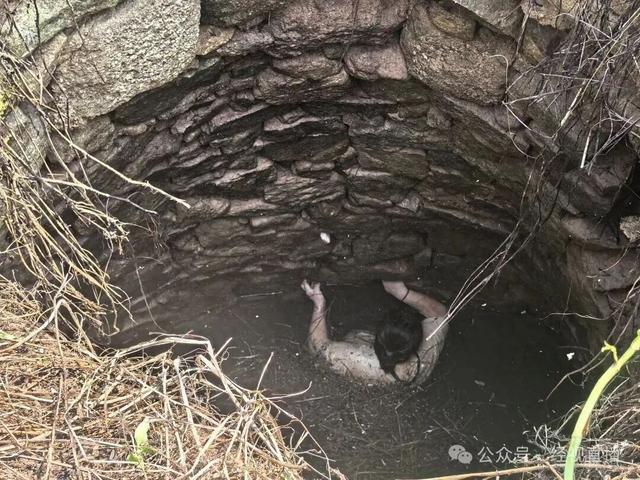 48岁女子坠废井54小时，身上爬满蛇，被咬也不敢动，医生：双侧肋骨骨折，前臂被蛇咬伤
