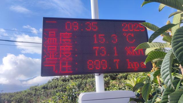 路过枇杷园，领略智能化