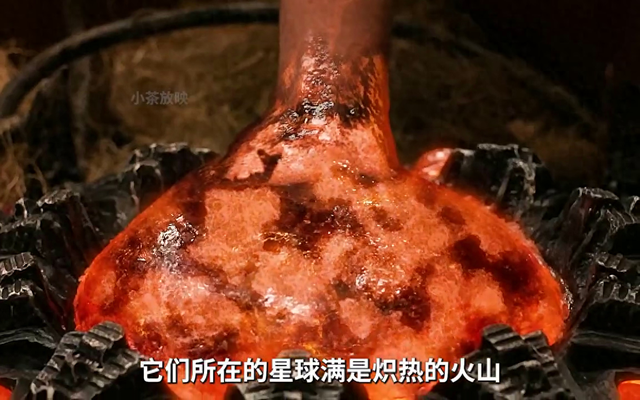 2025年11月3日 第14页