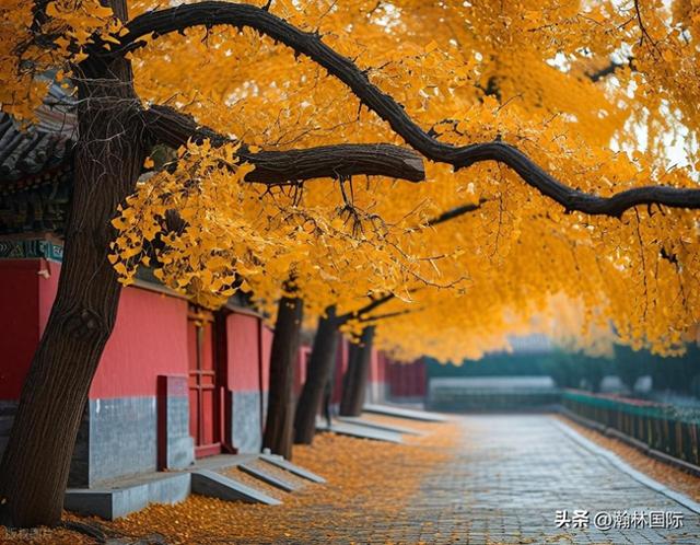 一场秋雨一场寒全诗是什么（林歌悟道初冬）
