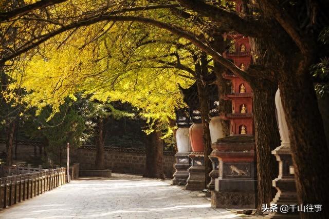 骑行成瘾者的15个“专属印记”：唯有骑友，方能共情