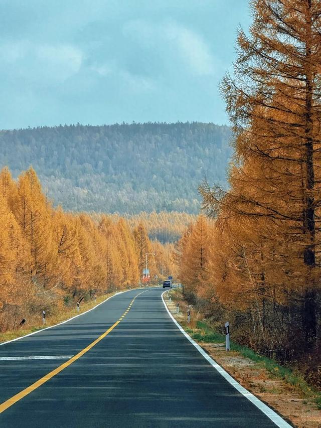 假期闲记（三）