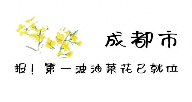 大冬天去赏什么花~油菜花！