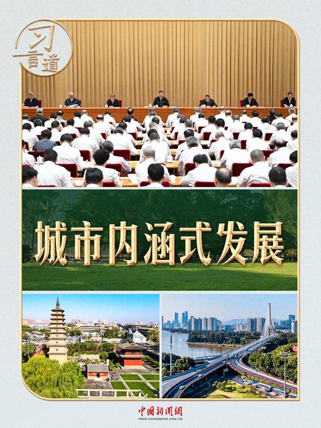 习言道丨一棵大榕树，尽显习近平的城市理念