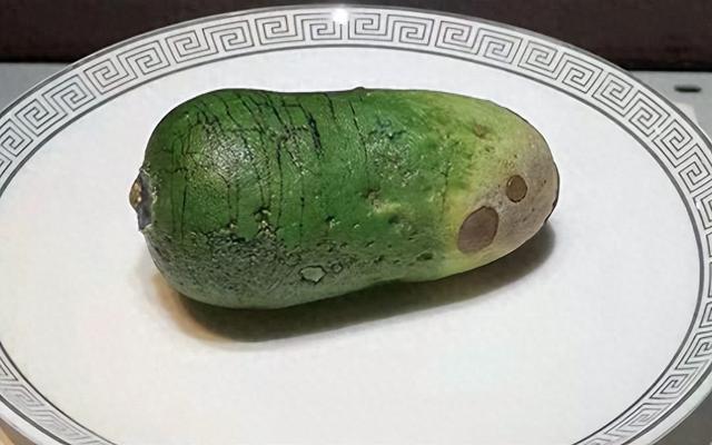 58万买“青萝卜”，众人笑他傻！有人出300万不卖，现在后悔吗？