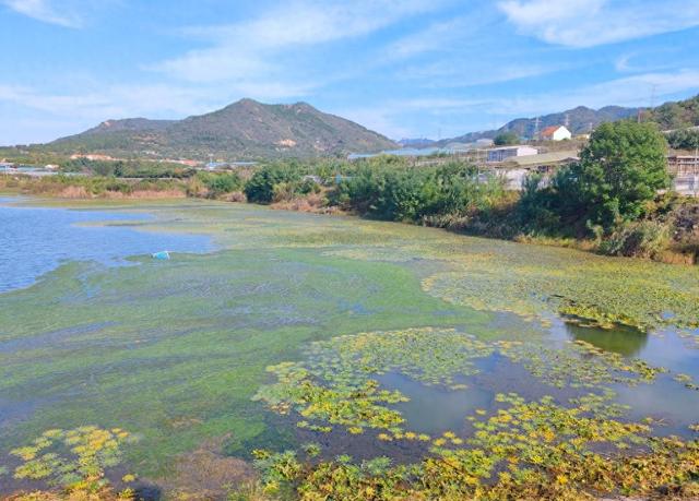 崂山碧波映秋光
