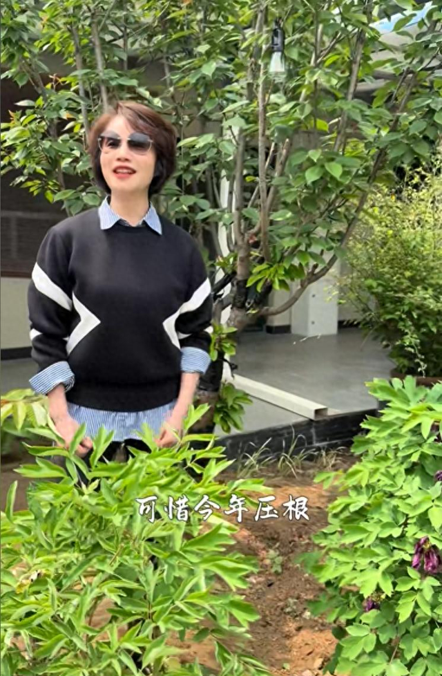 64岁徐俐晒北京小院，和二婚丈夫住农村平房，院子大得能跑步