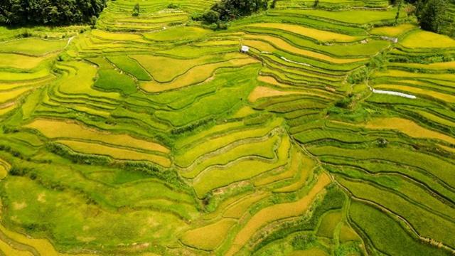 国庆假期追随云南秋日色彩 解锁别样旅居生活