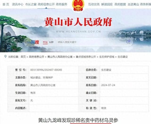 安徽首次发现！2024年，专家在白蚁废弃巢穴下挖2米深找到