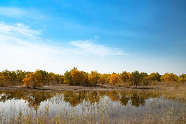 中国 0 差评的胡杨胜地，不输额济纳，胡杨林是内蒙古额济纳的 130 倍