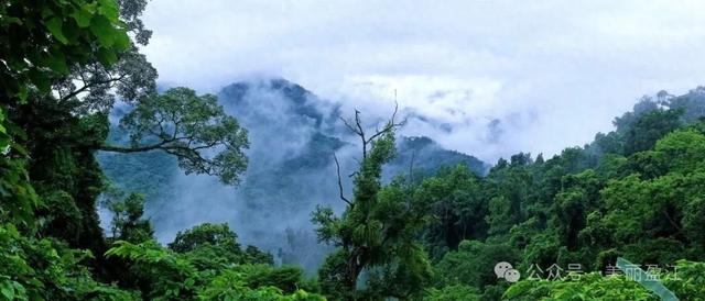 盈江铜壁关乡：只此青山绿空水共氤氲