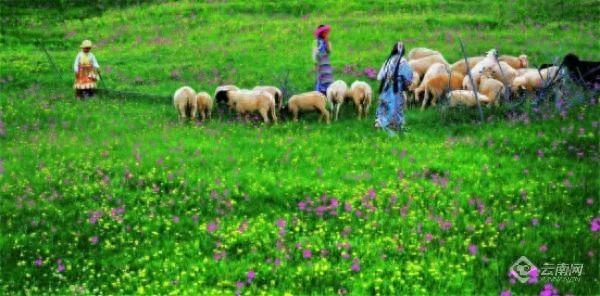 香格里拉国家公园候选区：一座没有围墙的生态博物馆