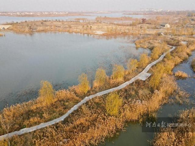 淮阳龙湖湿地冬景如画 生态保护成效显著