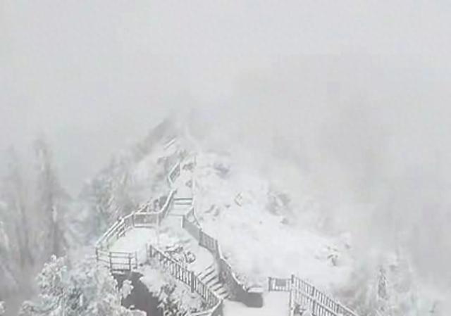 雪花飘落，天地变幻，寒意逼人——多地突降大雪的真实写照