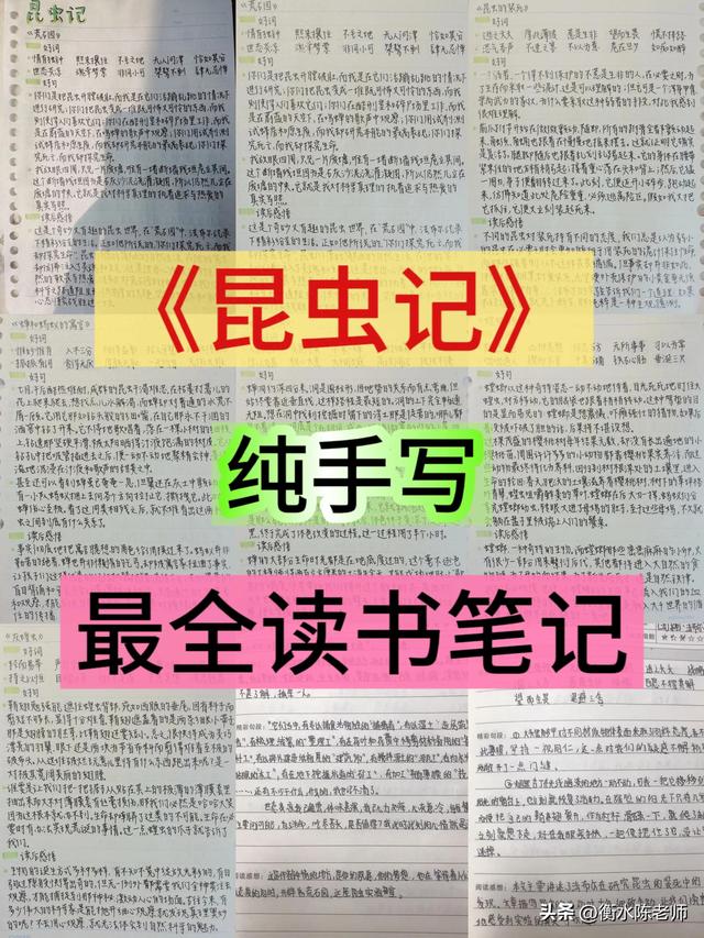 昆虫记读书笔记1000字（名著阅读昆虫记最全手抄笔记）