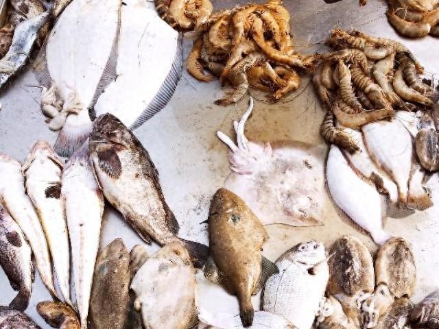 海鱼怎么做（鲜活海鱼怎么做好吃海边渔民一致认为醋椒）
