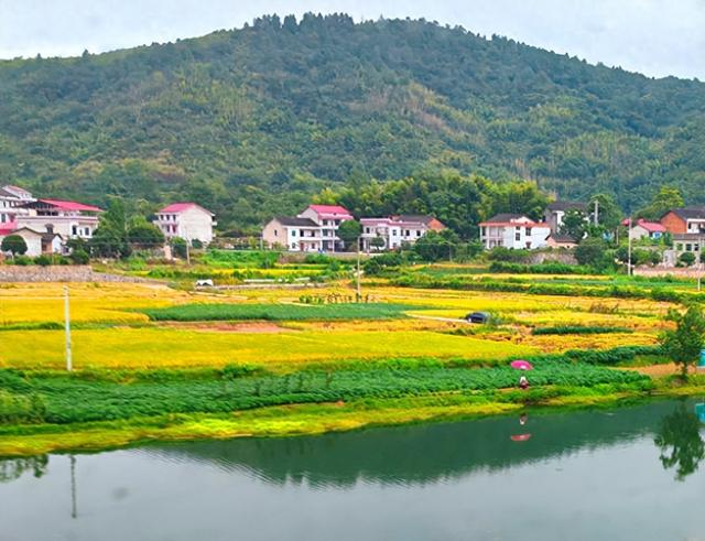 云南旅游：难忘九到昆明走马观花行（图）