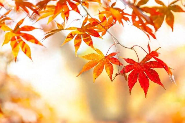 本周天气晴好 温度小幅震荡