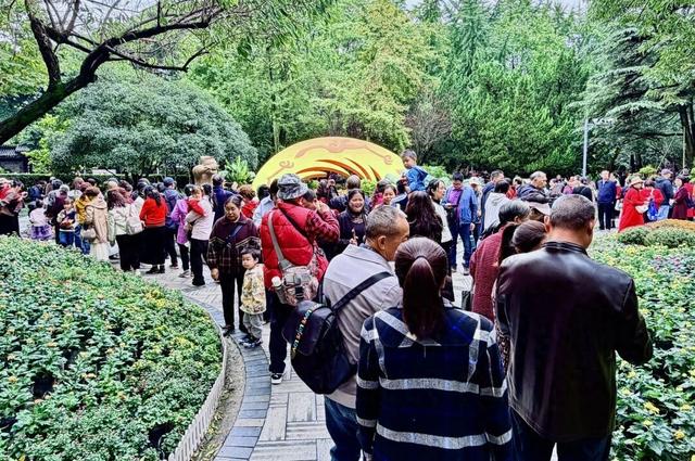 深秋，人民公园菊花展迎万人赏花打卡